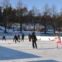 Lapset pelaavat jääkiekkoa jääkiekkokaukalossa.