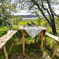 Kuvituskuva_Taidekartano